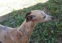 /album/fotos-jeannie/a1-jpg6/