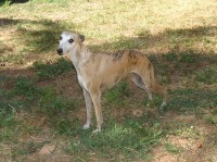 /album/fotos-jeannie/a2-jpg2/