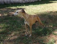 /album/fotos-jeannie/a3-jpg1/