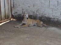 /album/fotos-jeannie/a4-jpg5/