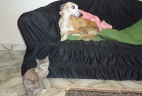 /album/fotos-jeannie/dsc01911-jpg/