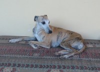 /album/fotos-jeannie/m%c3%a3e-jpg1/