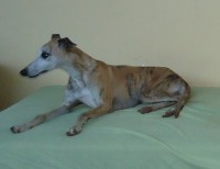 /album/fotos-jeannie/dsc01505-jpg/