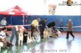 /album/galeria-de-fotos-dott/brasilianovedmilson0123-jpg/